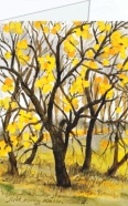 Graß Günter; Herbstlicher Obstgarten